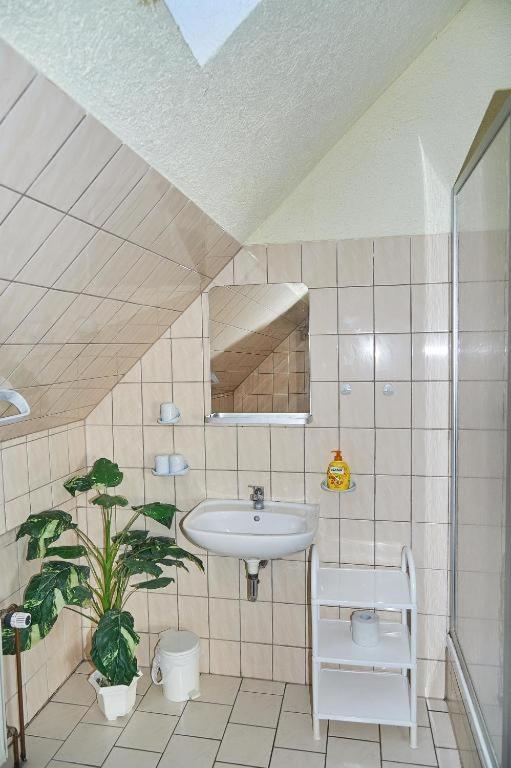 Schwalbenhof Woellnau Apartment Doberschutz Ngoại thất bức ảnh